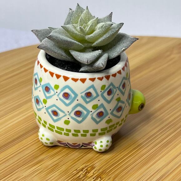 Natural life Blue Green Cutest Little Turtle Mini Faux Succulent Decor - Picture 2 of 8